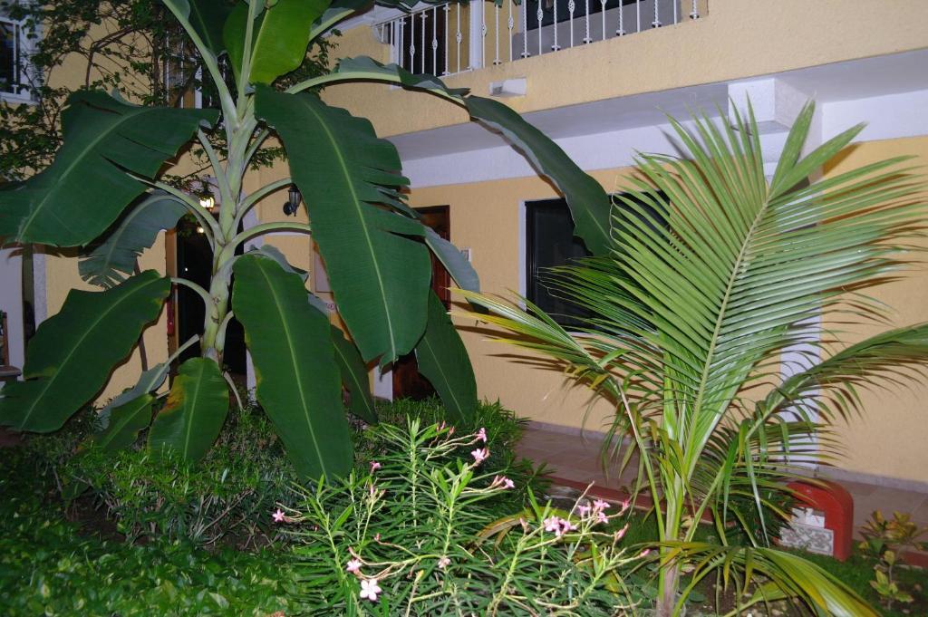 Hotel Real Del Mayab Playa del Carmen Exterior foto
